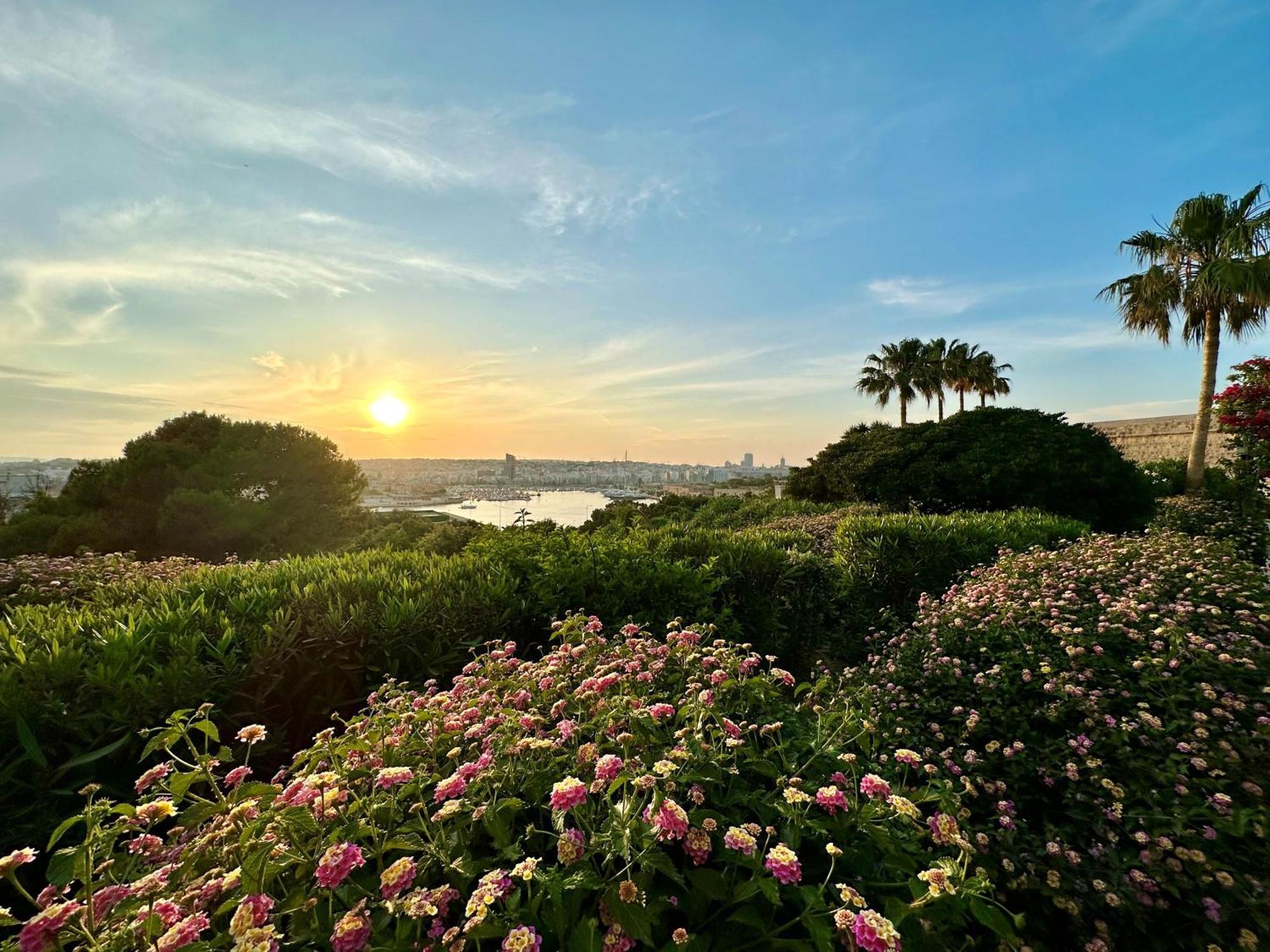 The Phoenicia Malta Floriana Luaran gambar Sunset at the San Diego Botanical Garden